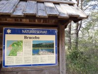 Naturreservat Brucebo.